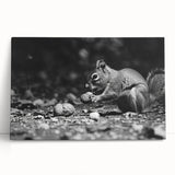 Stretched canvas wall art featuring a vibrant squirrel design, showcasing intricate details and colors, ideal for animal lovers and nature-themed decor.