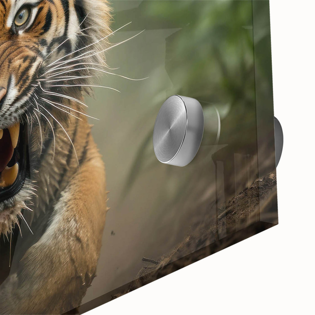 Close-up of a vibrant acrylic glass wall art piece featuring a striking tiger design, showcasing intricate details and bold colors, perfect for animal lovers and home decor enthusiasts.