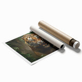 Vibrant wall art print featuring a striking tiger design, showcasing rich colors and intricate details, perfect for wildlife enthusiasts and home decor.