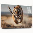 Vibrant acrylic glass wall art featuring a striking tiger design, showcasing intricate details and vivid colors, mounted with pins for easy display.