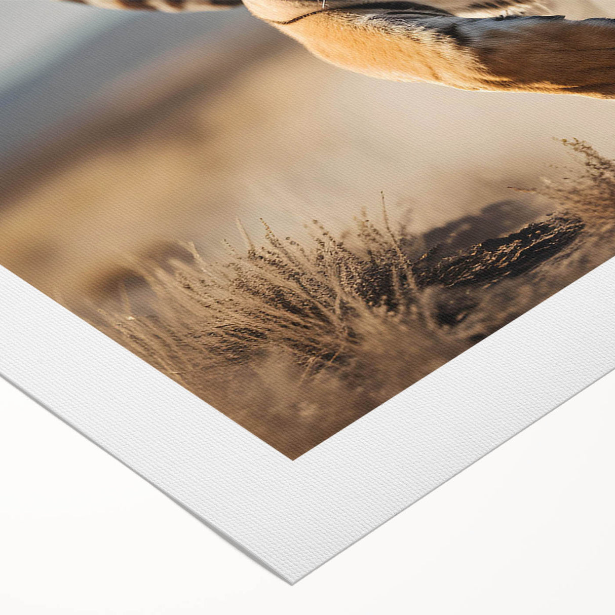 Vibrant rolled canvas wall art showcasing a majestic tiger design in a wild setting, perfect for animal lovers. Ideal for home decor and art enthusiasts.