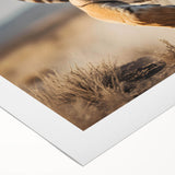 Vibrant rolled canvas wall art showcasing a majestic tiger design in a wild setting, perfect for animal lovers. Ideal for home decor and art enthusiasts.