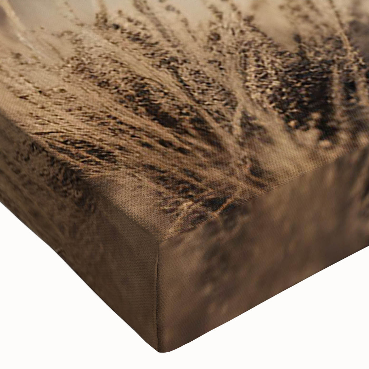 Close-up of a vibrant tiger wall art design on stretched canvas, showcasing intricate details and rich colors, perfect for wildlife-themed decor and nature enthusiasts. Ideal for enhancing living spaces with a touch of the wild.
