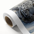 Vibrant rolled canvas wall art featuring a majestic tiger design, showcasing intricate details and bold colors, perfect for wildlife enthusiasts and home decor.