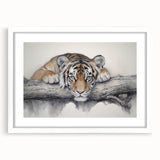 Framed wall art showcasing a striking tiger design in vibrant colors, complete with a white mat for an elegant presentation, ideal for animal lovers.