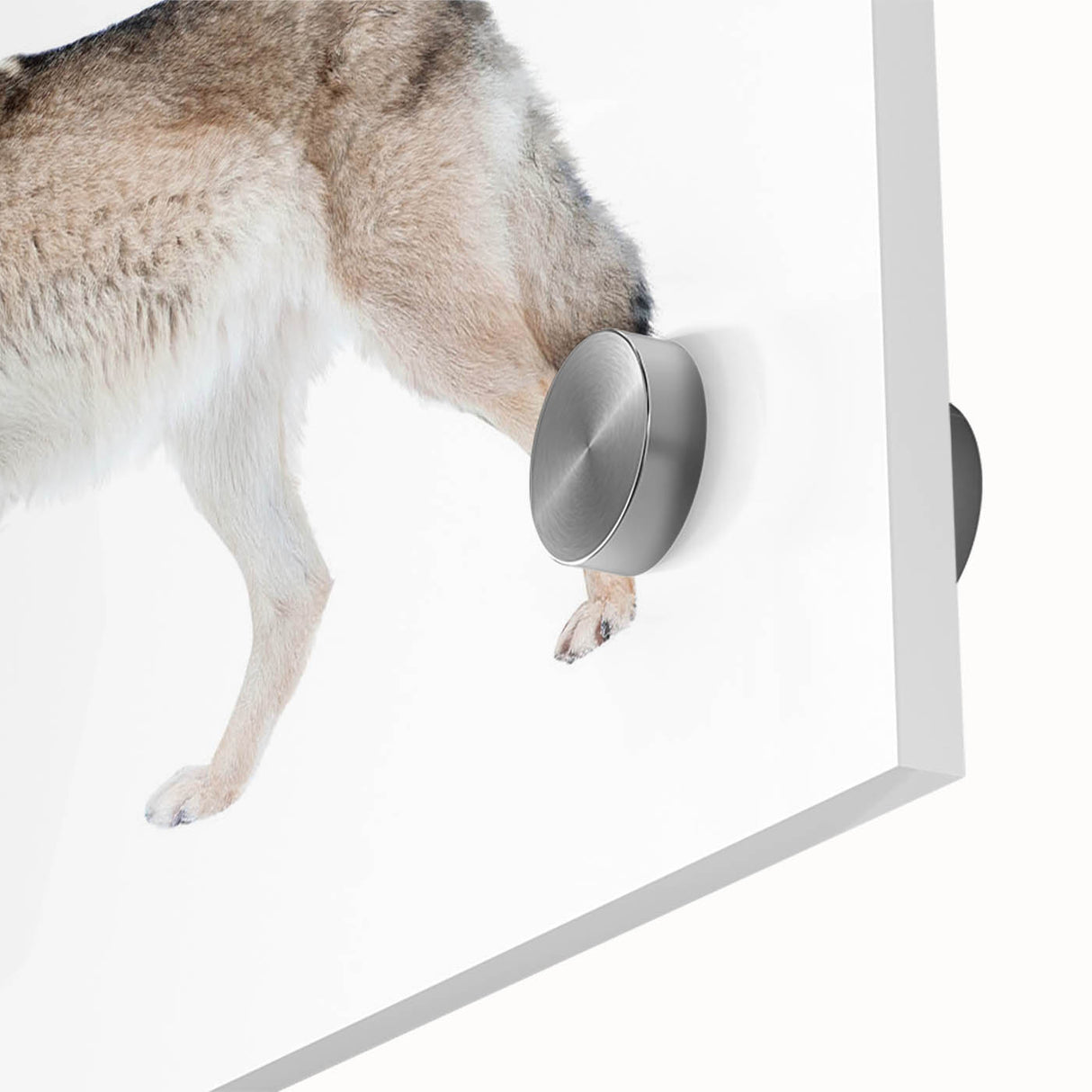 Close-up of a stunning acrylic glass wall art piece showcasing a majestic wolf design, featuring intricate details and vibrant colors, perfect for wildlife enthusiasts.