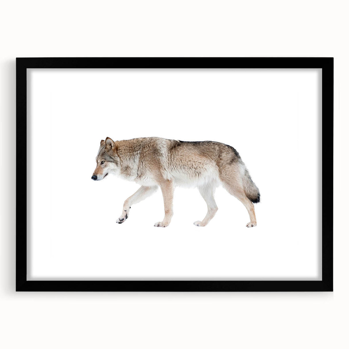 Framed wall art featuring a striking black and white wolf design, showcasing intricate details and textures, perfect for wildlife enthusiasts and modern decor.