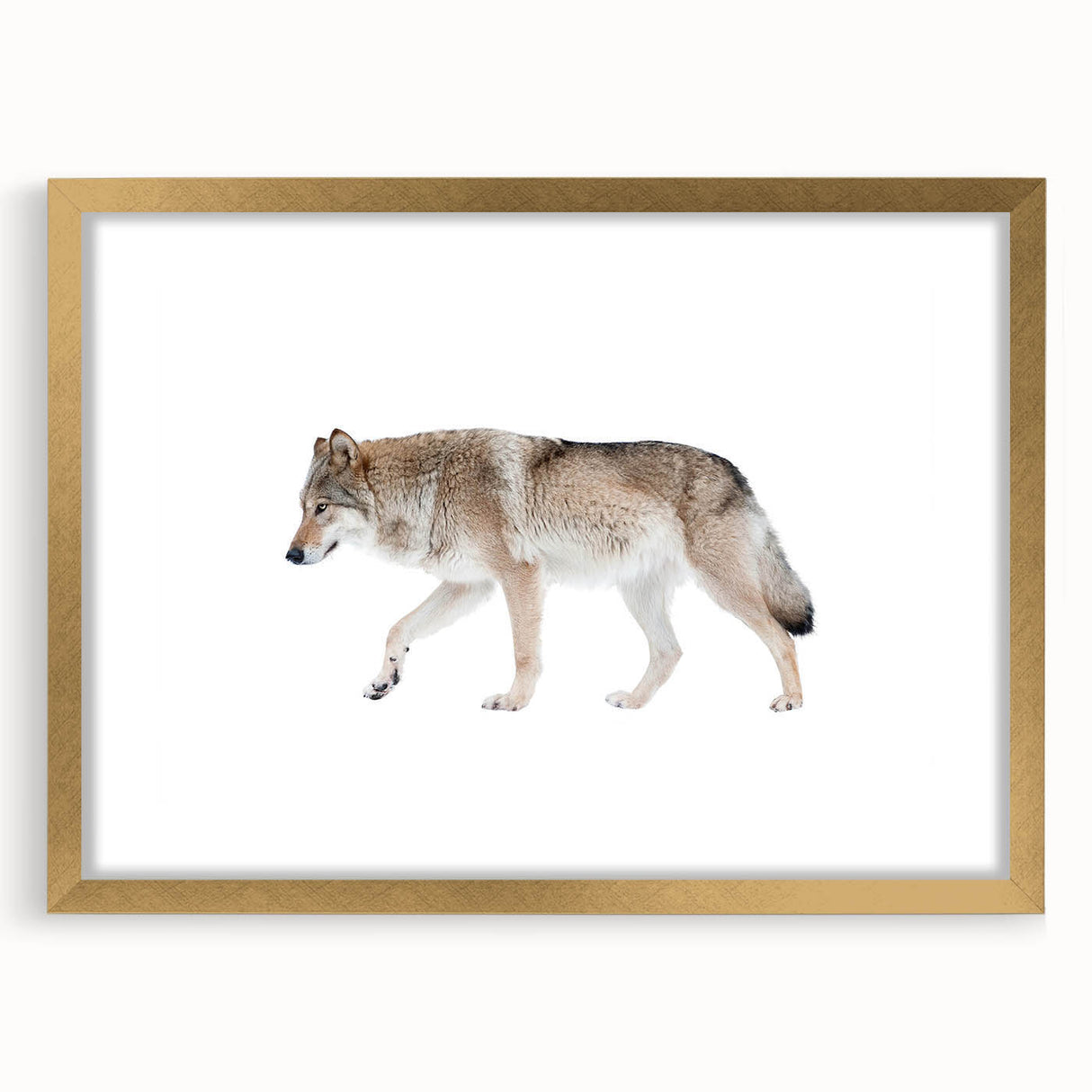 Framed wall art featuring a striking wolf design in a gold frame, showcasing intricate details and vibrant colors, perfect for wildlife and nature enthusiasts.