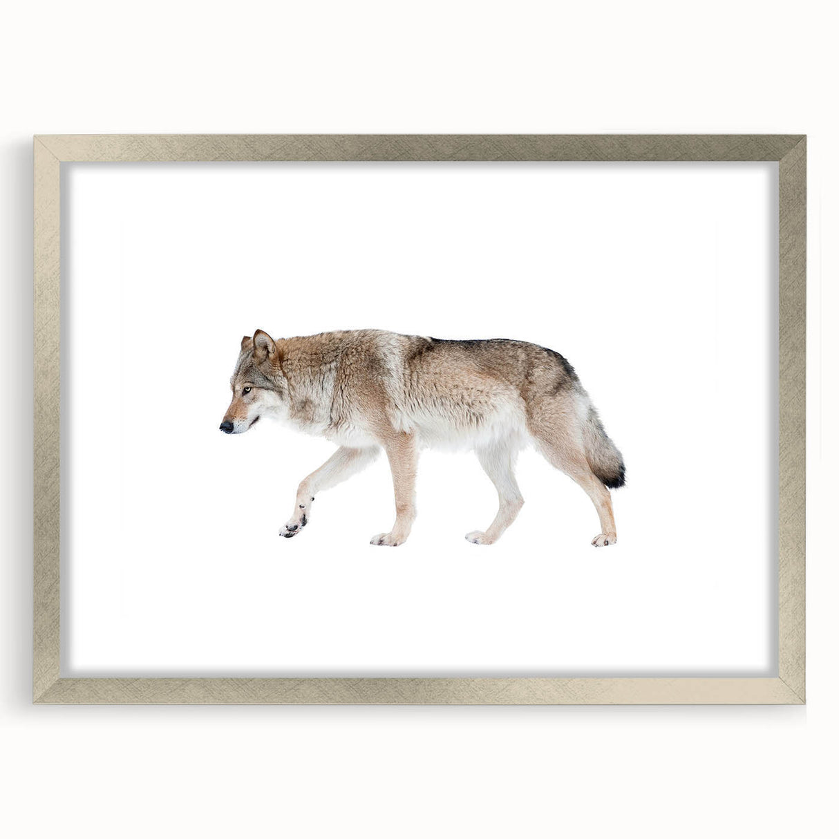 Framed silver wall art featuring a striking wolf design, showcasing intricate details and vibrant colors, perfect for wildlife enthusiasts and home decor.