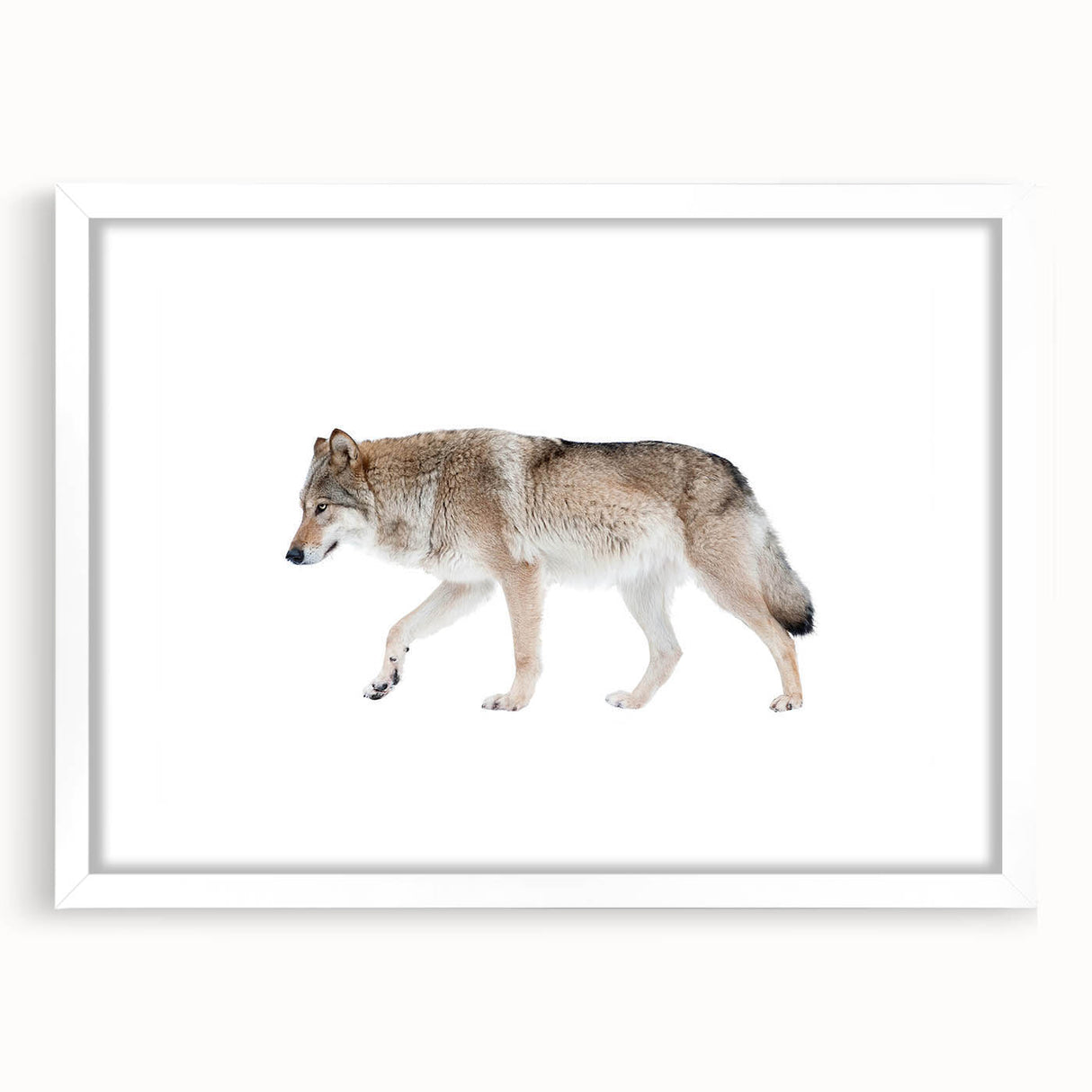 Framed wall art featuring a striking wolf design on a white mat, showcasing the beauty of wildlife in a modern aesthetic, perfect for home decor.