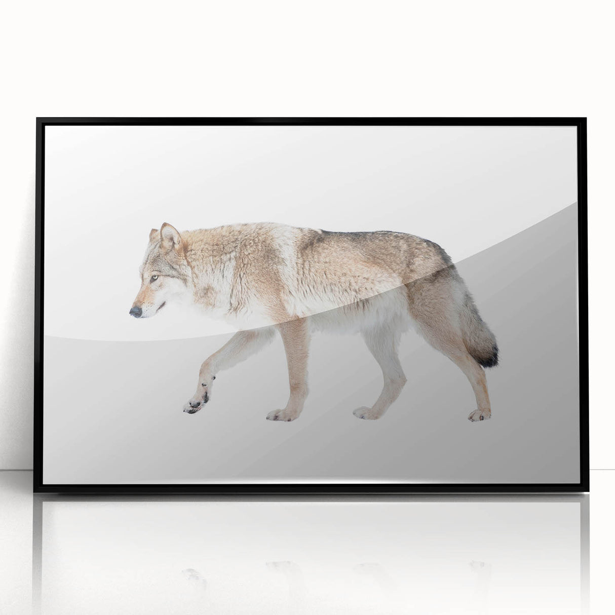 Framed acrylic wall art featuring a striking wolf design in a sleek black frame, ideal for wildlife enthusiasts and modern decor, showcasing intricate details and vibrant colors.