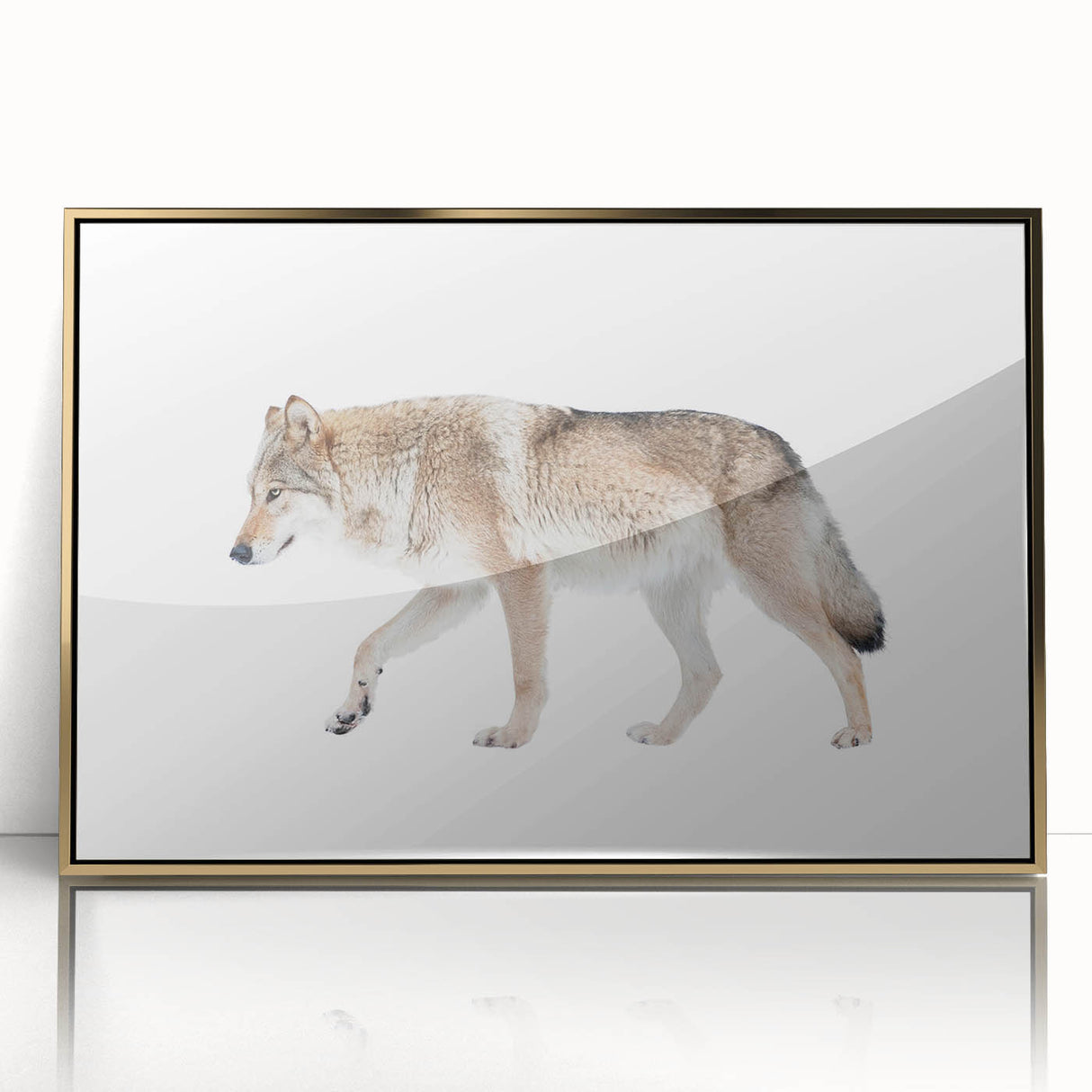Framed acrylic wall art featuring a striking wolf design with gold accents, showcasing the animal's fierce expression against a dark background, perfect for wildlife enthusiasts.