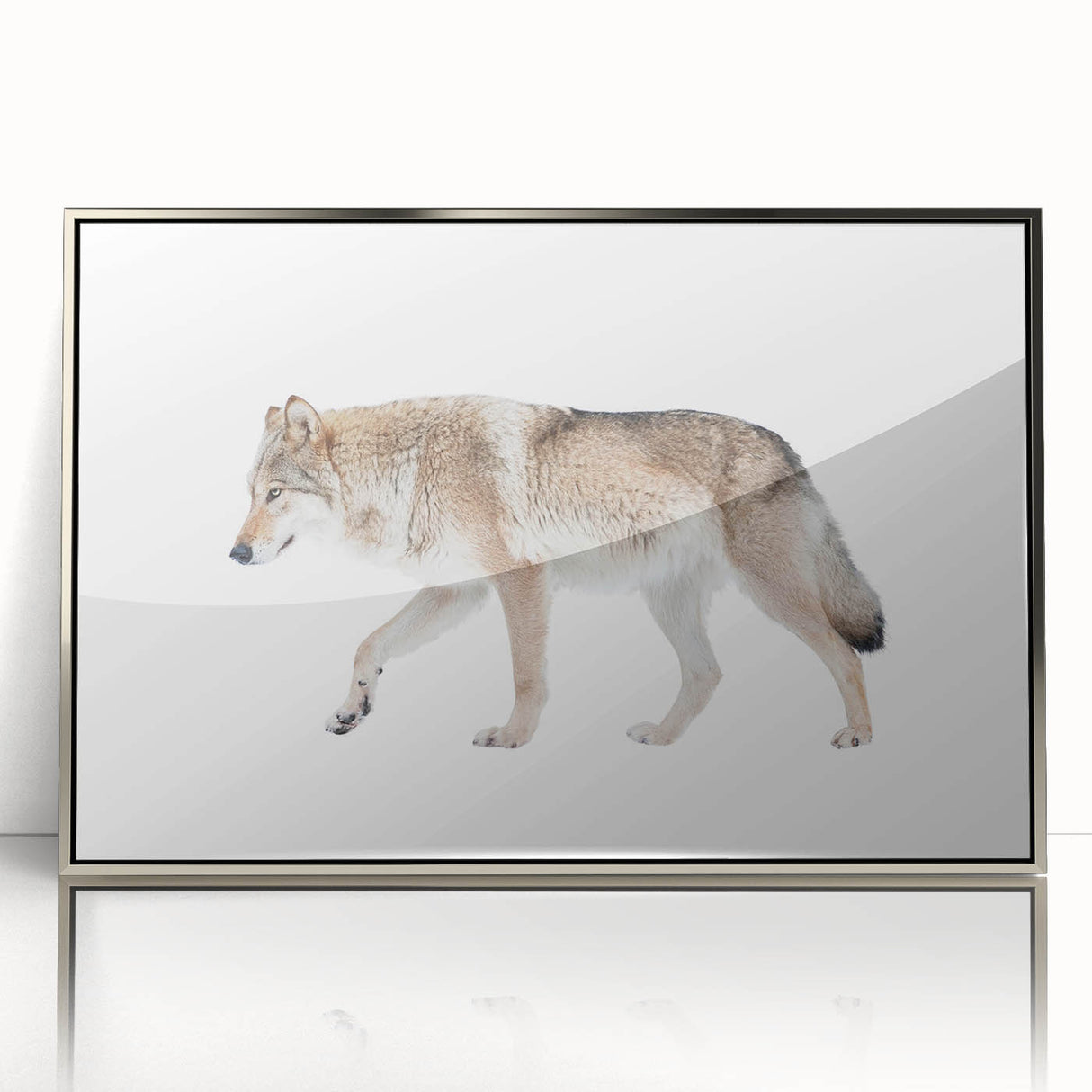 Framed acrylic wall art showcasing a stunning silver wolf design, ideal for wildlife enthusiasts. The sleek finish enhances any modern decor, perfect for animal lovers.