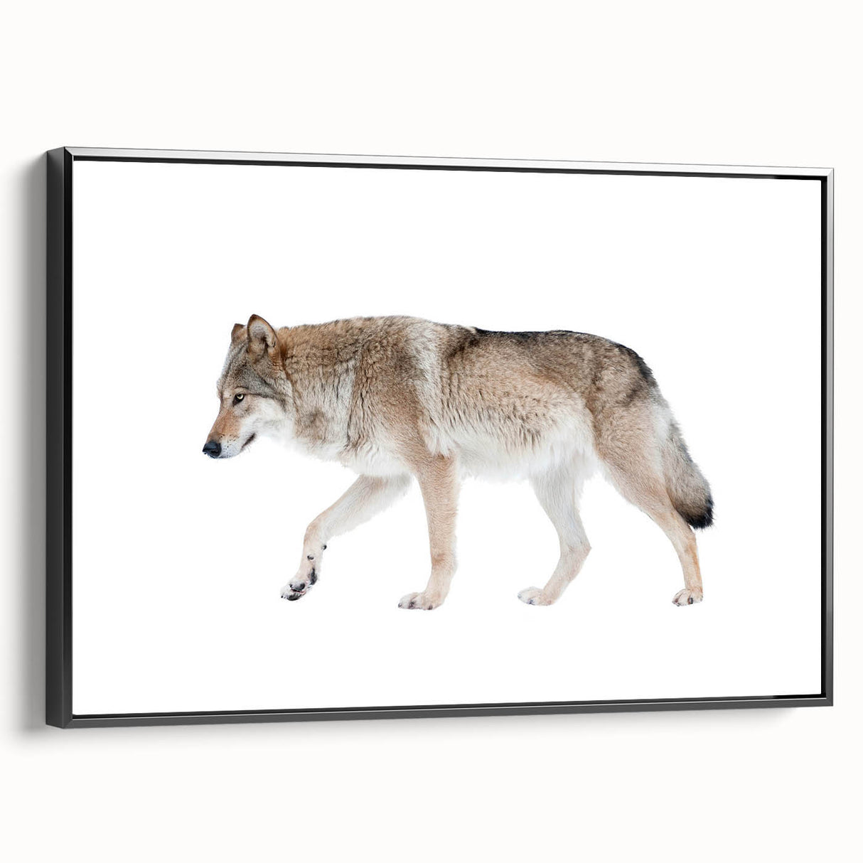 Framed wall art featuring a striking black wolf design on canvas, showcasing intricate details and textures, ideal for wildlife enthusiasts and home decor.