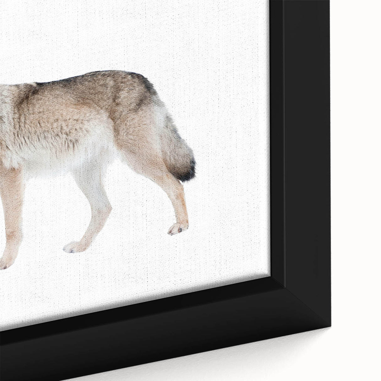 Close-up of a framed canvas wall art featuring a realistic wolf design, showcasing intricate details and vibrant colors, perfect for animal lovers and home decor enthusiasts.