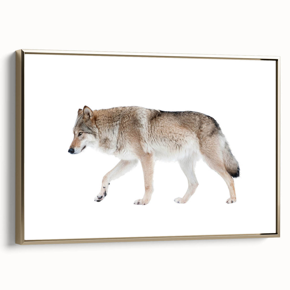 Framed wall art featuring a striking wolf design on canvas, showcasing intricate details and a gold frame, perfect for animal lovers' home decor.