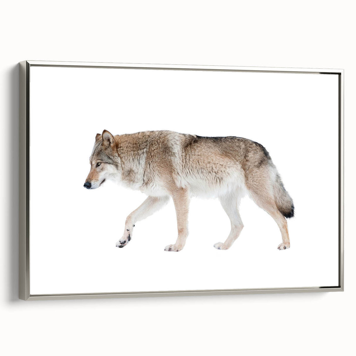Framed wall art featuring a striking wolf design on canvas, showcasing intricate details and a silver frame. Ideal for wildlife enthusiasts and modern decor.