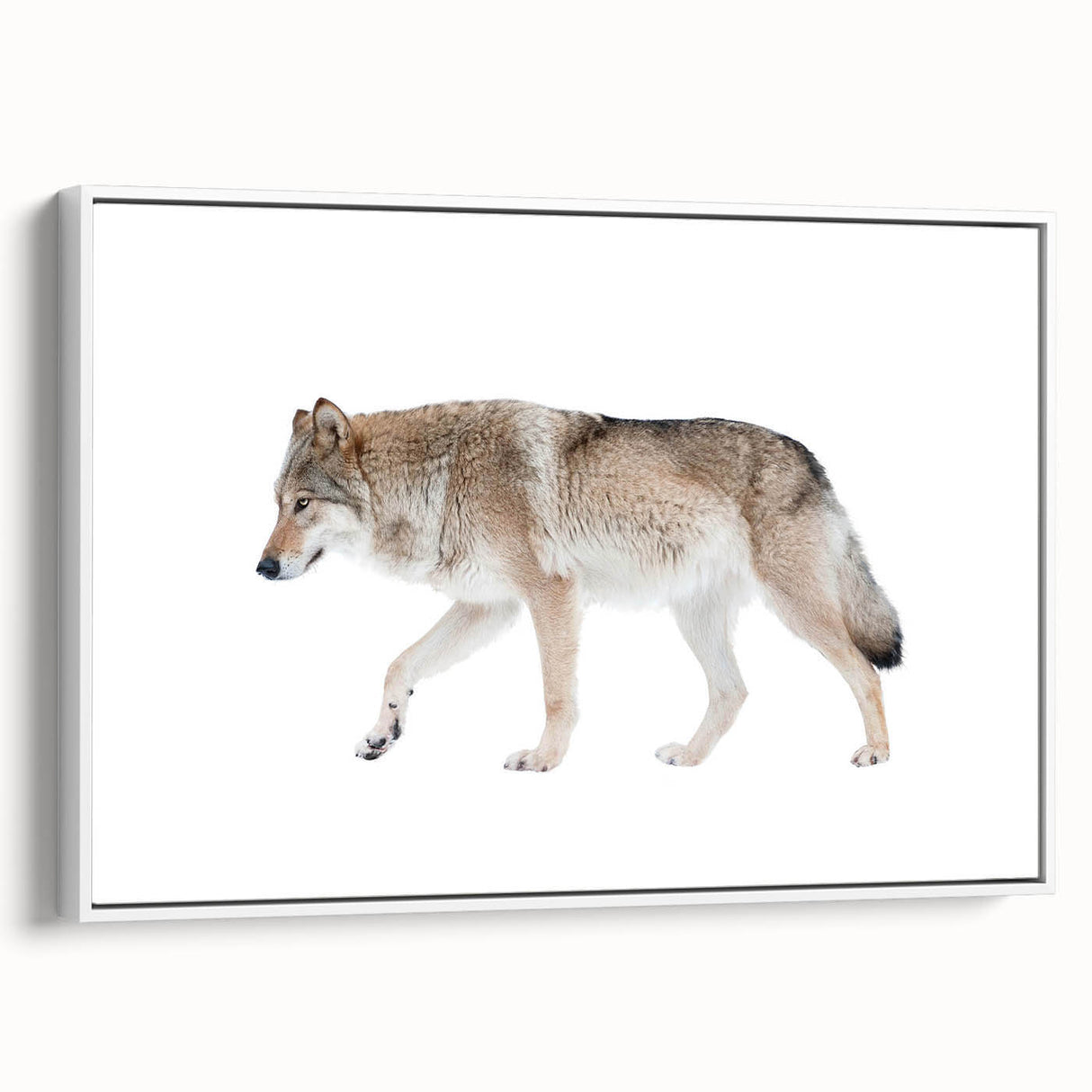 Framed canvas wall art featuring a striking wolf design, showcasing intricate details with a white frame. Ideal for nature lovers and wildlife decor enthusiasts.