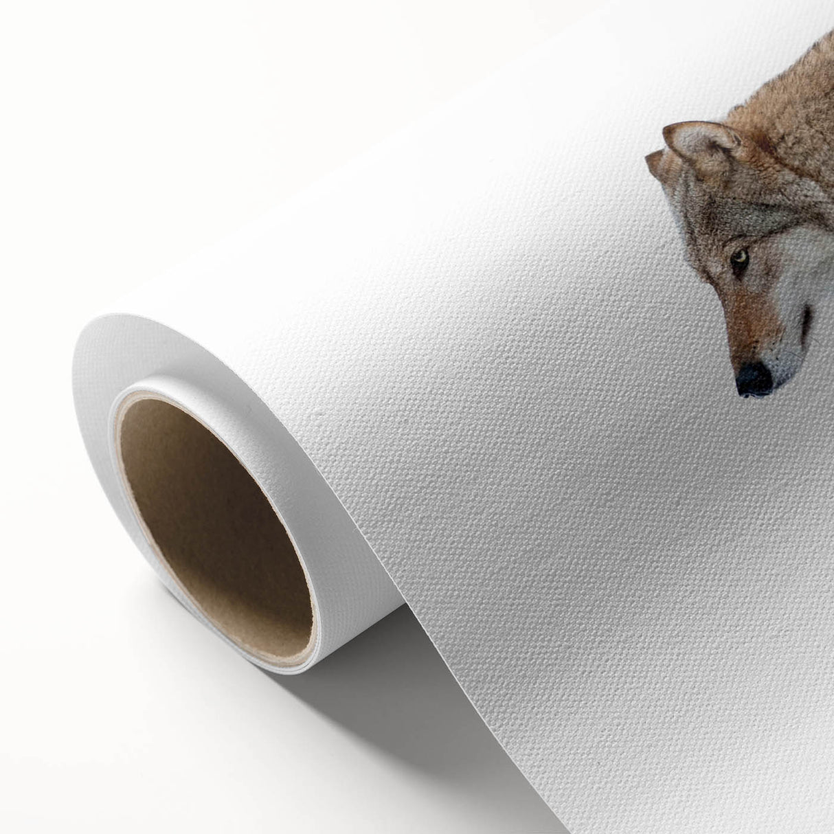 Wolf-themed wall art on rolled canvas, showcasing a detailed, artistic depiction of a wolf in natural colors, perfect for wildlife enthusiasts and home decor.
