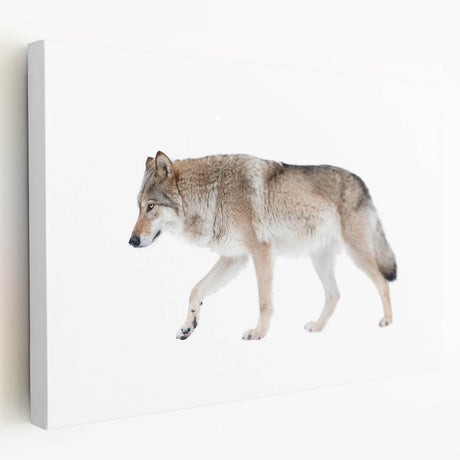 Stretched canvas wall art depicting a striking wolf design in a natural setting, showcasing intricate details and vibrant colors, perfect for animal lovers and home decor.