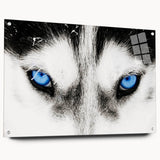Acrylic wall art showcasing a striking wolf design in a side view, featuring vibrant colors and intricate details, mounted with pins for easy display. This captivating piece adds a wild touch to any interior decor, perfect for animal lovers and art enthusiasts.