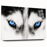 Acrylic wall art featuring a striking wolf design in a side view, showcasing intricate details and vibrant colors, perfect for wildlife enthusiasts and modern decor.