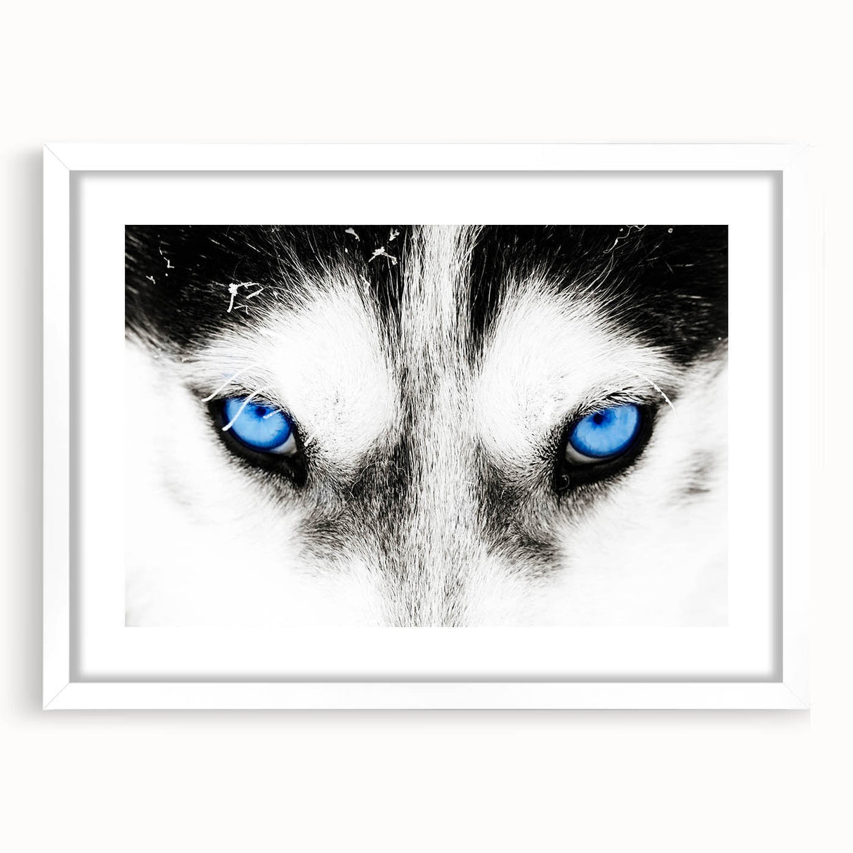Framed wall art featuring a striking gray wolf design, set against a white mat, showcasing intricate details and textures, perfect for wildlife enthusiasts.