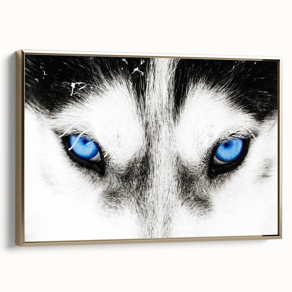 Framed wall art featuring a golden-colored wolf design on a textured canvas, showcasing the majestic animal in a side view, perfect for nature-themed decor.
