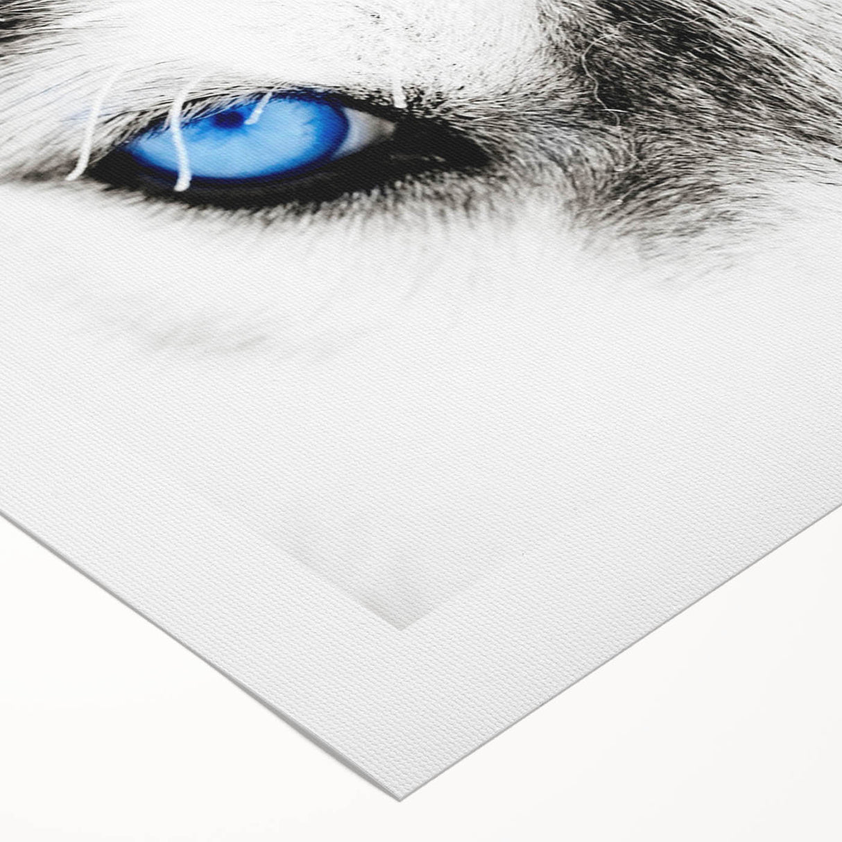 Wolf wall art design on rolled canvas showcasing a stunning, realistic illustration of a wolf in a natural setting, perfect for wildlife enthusiasts and home decor.