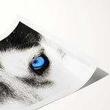 Stunning wall art print featuring a detailed illustration of a wolf, showcasing vibrant colors and intricate designs, ideal for wildlife enthusiasts and home decor.