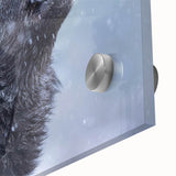 Close-up of a striking wolf wall art design printed on acrylic glass, showcasing intricate details and vibrant colors, ideal for wildlife enthusiasts and home decor.
