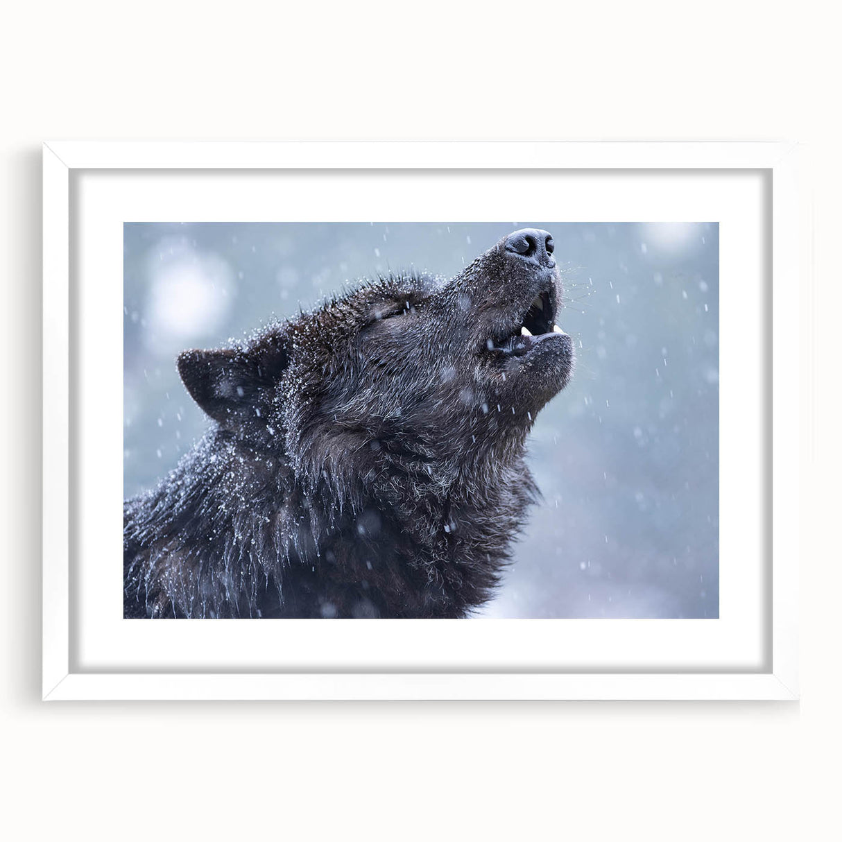 Wolf-themed wall art collection featuring a striking black and white design, framed with a white mat, ideal for nature lovers and home decor enthusiasts.