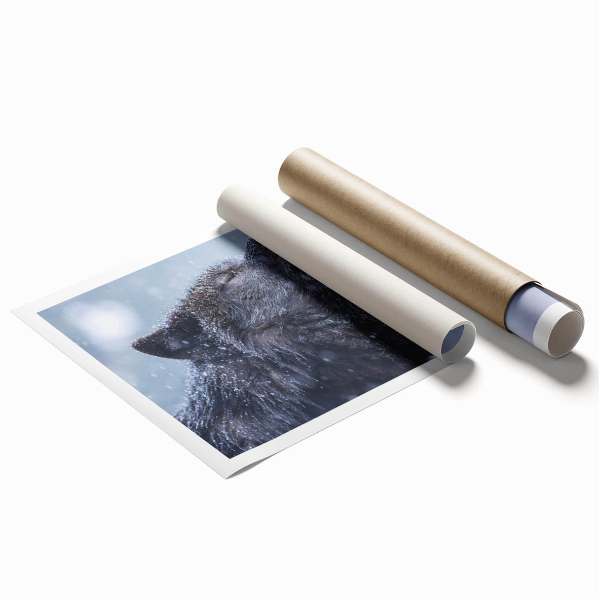 Wolf-themed wall art print showcasing a striking design of a majestic wolf in a natural setting, featuring rich colors and intricate details, ideal for wildlife enthusiasts and home decor.