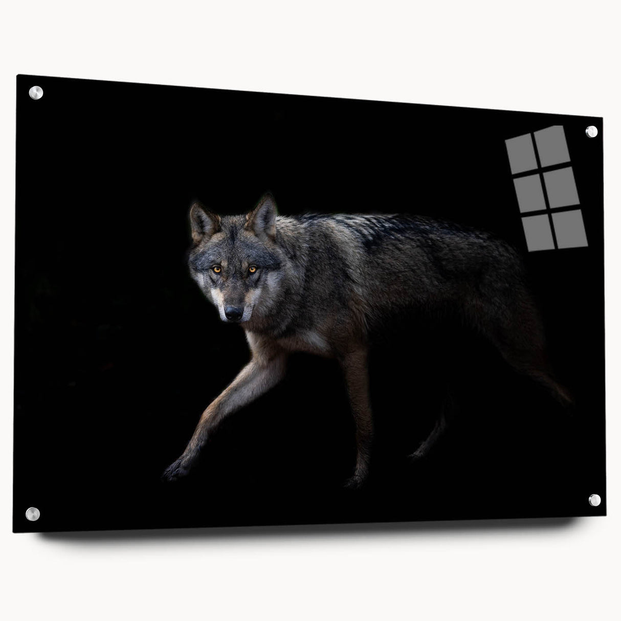 Acrylic wall art featuring a striking wolf design in a natural setting, showcasing vibrant colors and detailed textures, perfect for home decor accents.