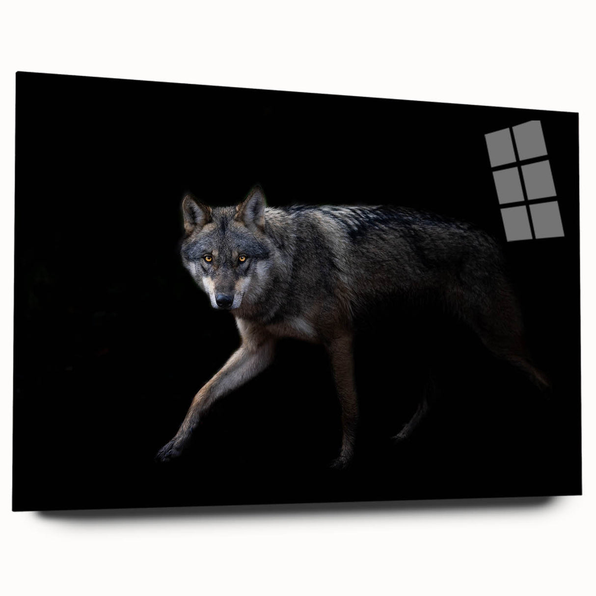 Acrylic wall art showcasing a striking side view of a wolf design from the "Animals A Wild Life" collection, featuring vibrant colors and intricate details, perfect for nature enthusiasts and modern decor.