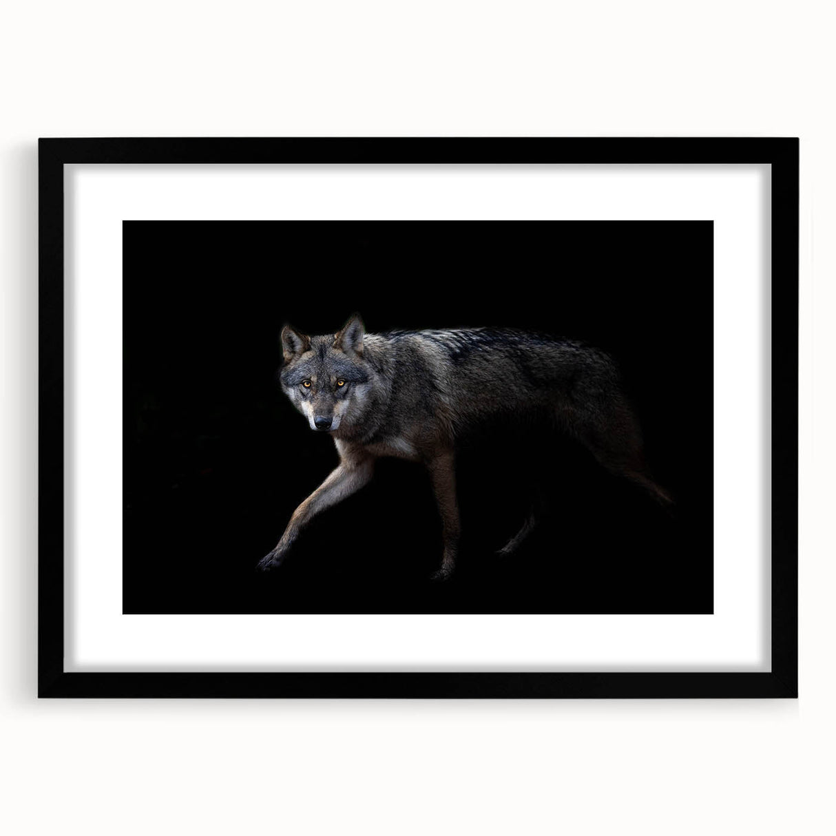 Framed wall art featuring a striking black and white wolf design with a mat, perfect for adding a touch of nature-inspired decor to any room.
