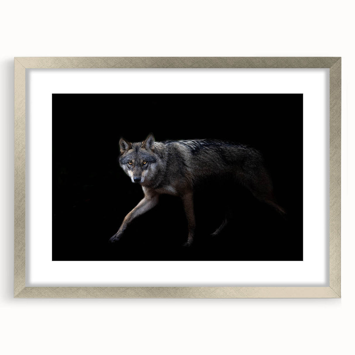 Framed wall art featuring a striking silver mat showcasing a wolf design, perfect for wildlife enthusiasts, set against a contemporary backdrop.