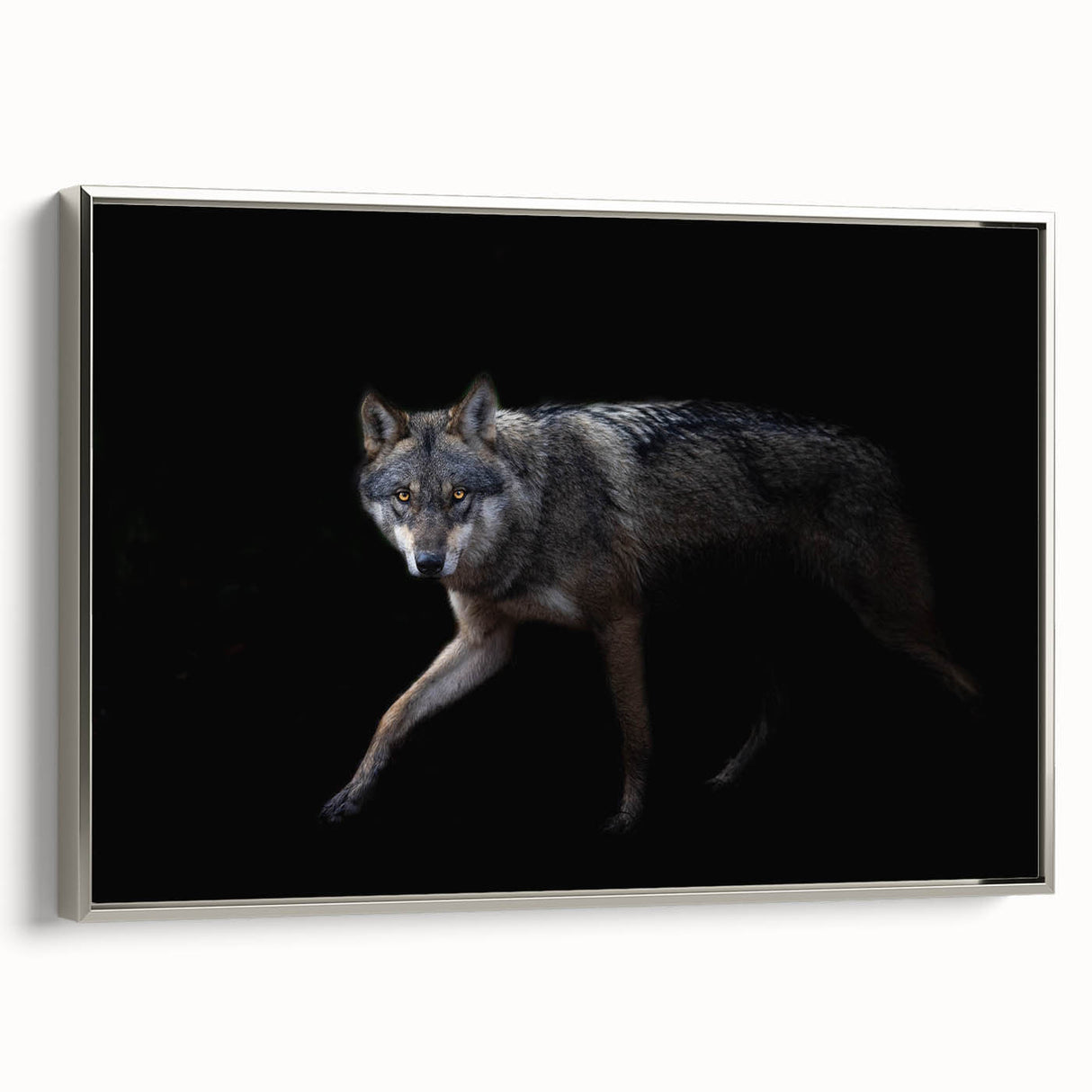 Framed canvas wall art featuring a striking silver wolf design from the 'Animals of the Wild' collection, showcasing intricate details and a modern aesthetic. Perfect for nature lovers and home decor enthusiasts.