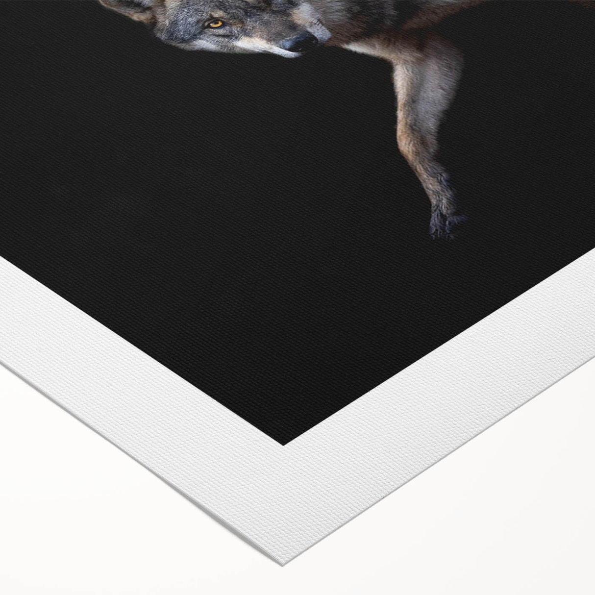 Wolf-themed rolled canvas wall art showcasing a striking black and white design featuring a majestic wolf in a natural setting, ideal for wildlife enthusiasts and home decor.
