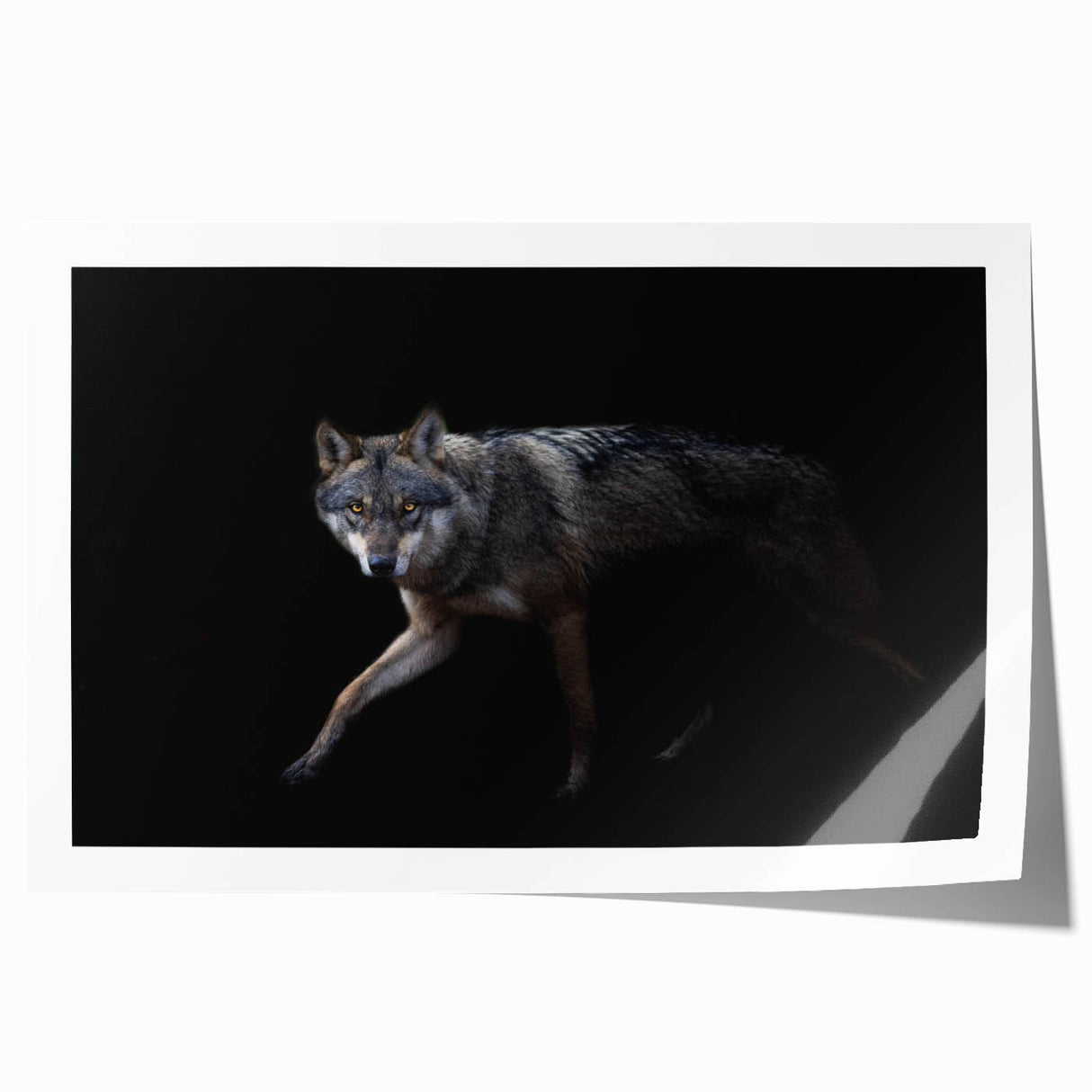Stunning wall art print featuring a detailed illustration of a wolf in a natural setting, showcasing intricate textures and vibrant colors, perfect for nature enthusiasts and home decor.