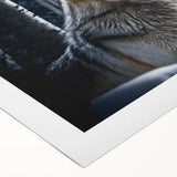 Wolf-themed rolled canvas wall art showcasing a striking monochrome design of a wolf in a forest setting, ideal for nature lovers and home decor enthusiasts.