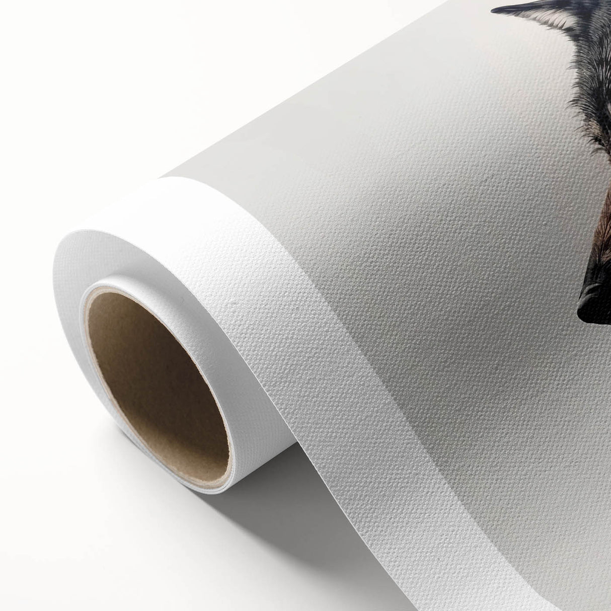 Wolf-themed wall art on rolled canvas showcasing a striking grey wolf in a natural setting, perfect for wildlife enthusiasts and home decor, packaged securely.