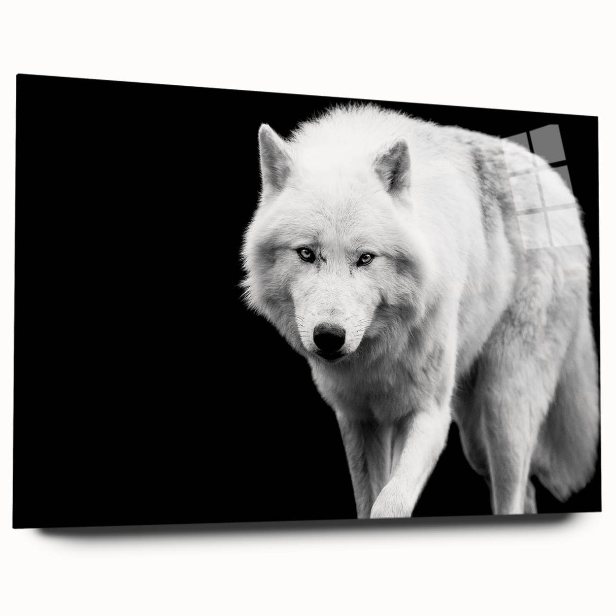Side view of a wolf-themed wall art piece made of acrylic glass, showcasing intricate designs and vivid colors, ideal for wildlife enthusiasts’ decor.