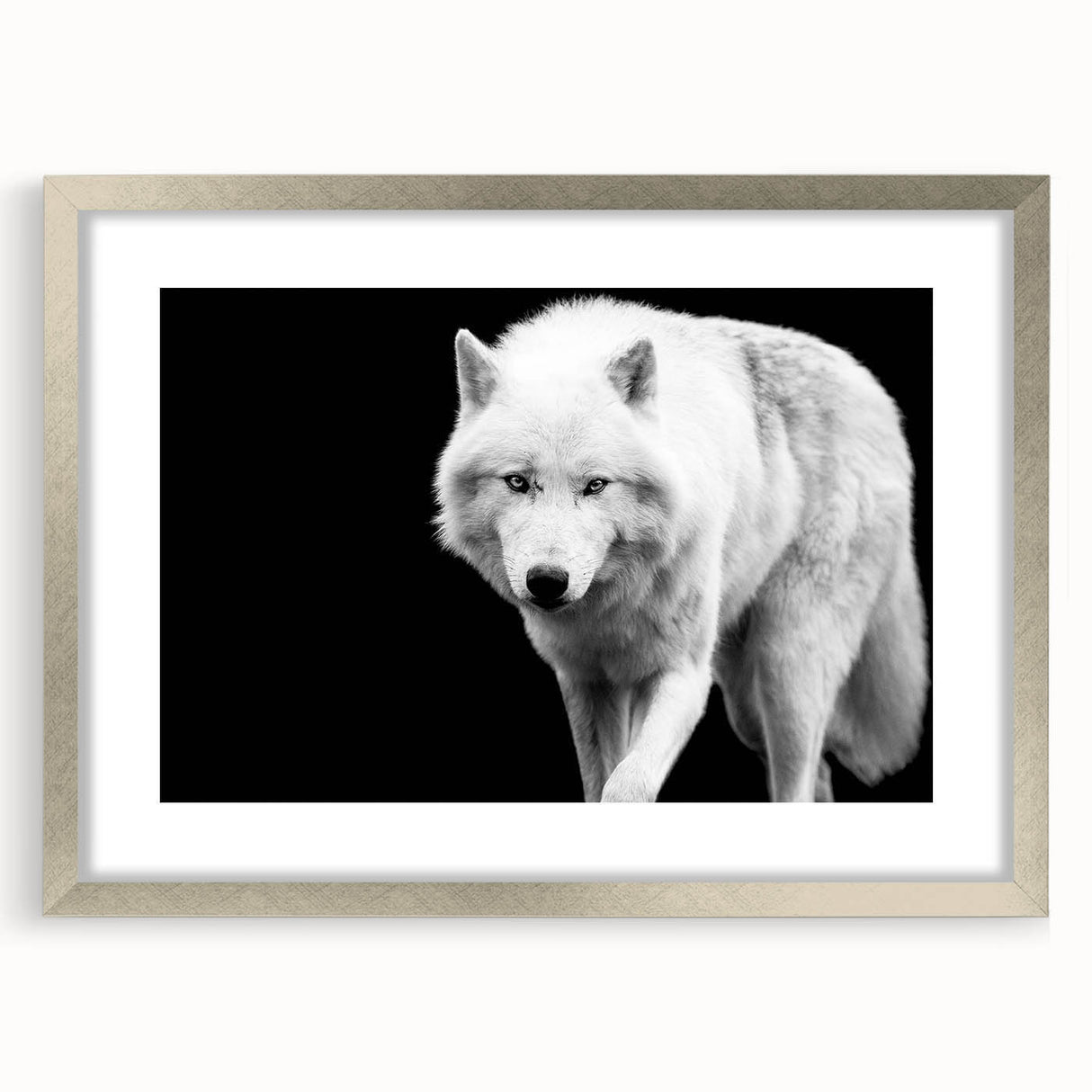 Framed wall art featuring a striking silver mat and wolf design, ideal for wildlife enthusiasts, showcasing intricate details and vibrant colors. Perfect for home decor.