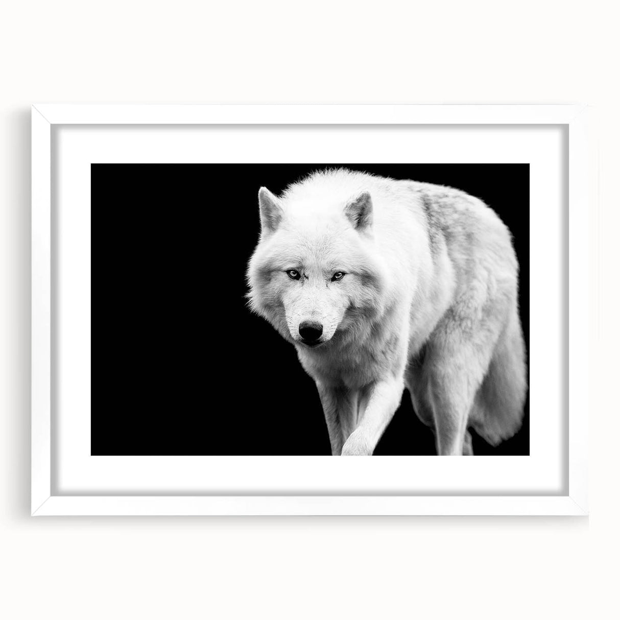 Framed wall art showcasing a striking wolf design from the "Animals a Wild Life" collection, featuring a white mat and elegant frame, perfect for nature enthusiasts.