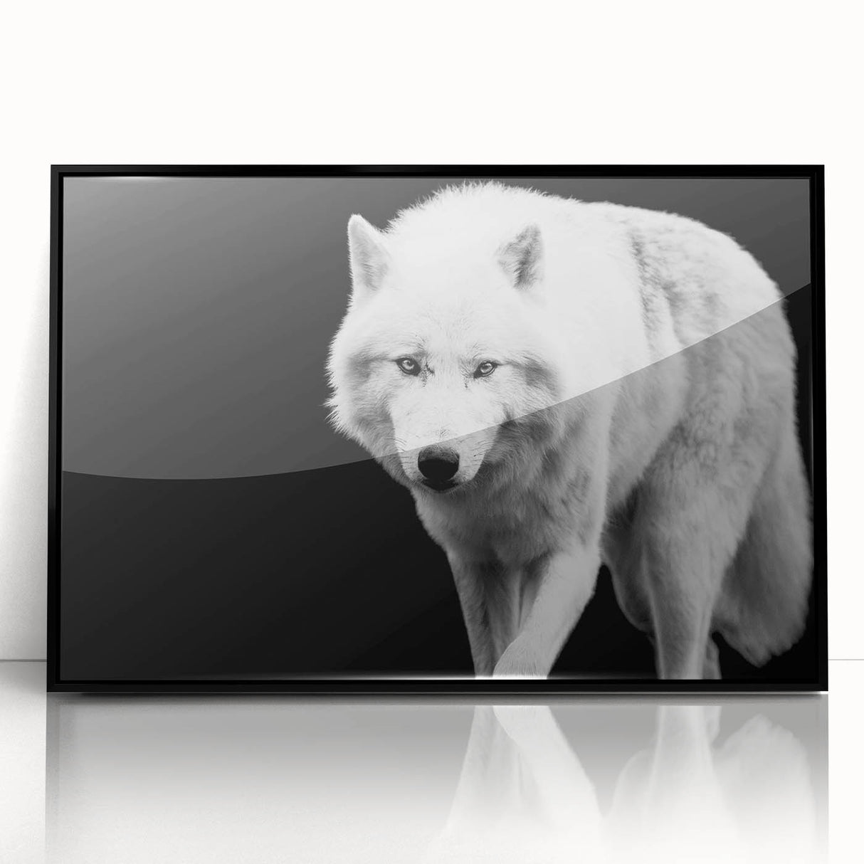 Framed wall art featuring a striking wolf design, showcasing detailed fur textures and vibrant colors on a black background, perfect for animal lovers and home decor.