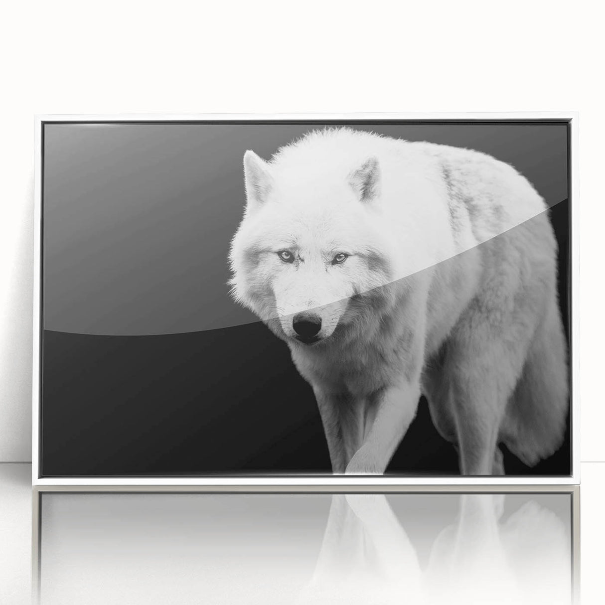 Framed acrylic wall art featuring a striking wolf design in a contemporary style, set against a white background, ideal for nature enthusiasts and home decor.