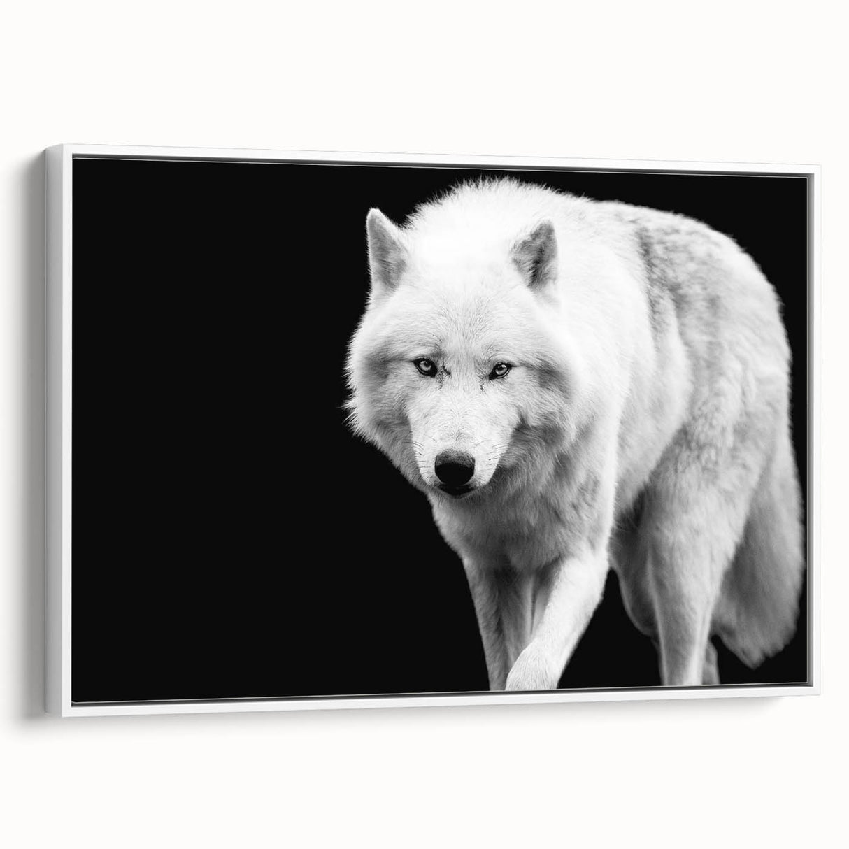 Framed canvas wall art featuring a striking wolf design from the "Animals of the Wild" collection, showcasing intricate details and a white frame, ideal for nature lovers.