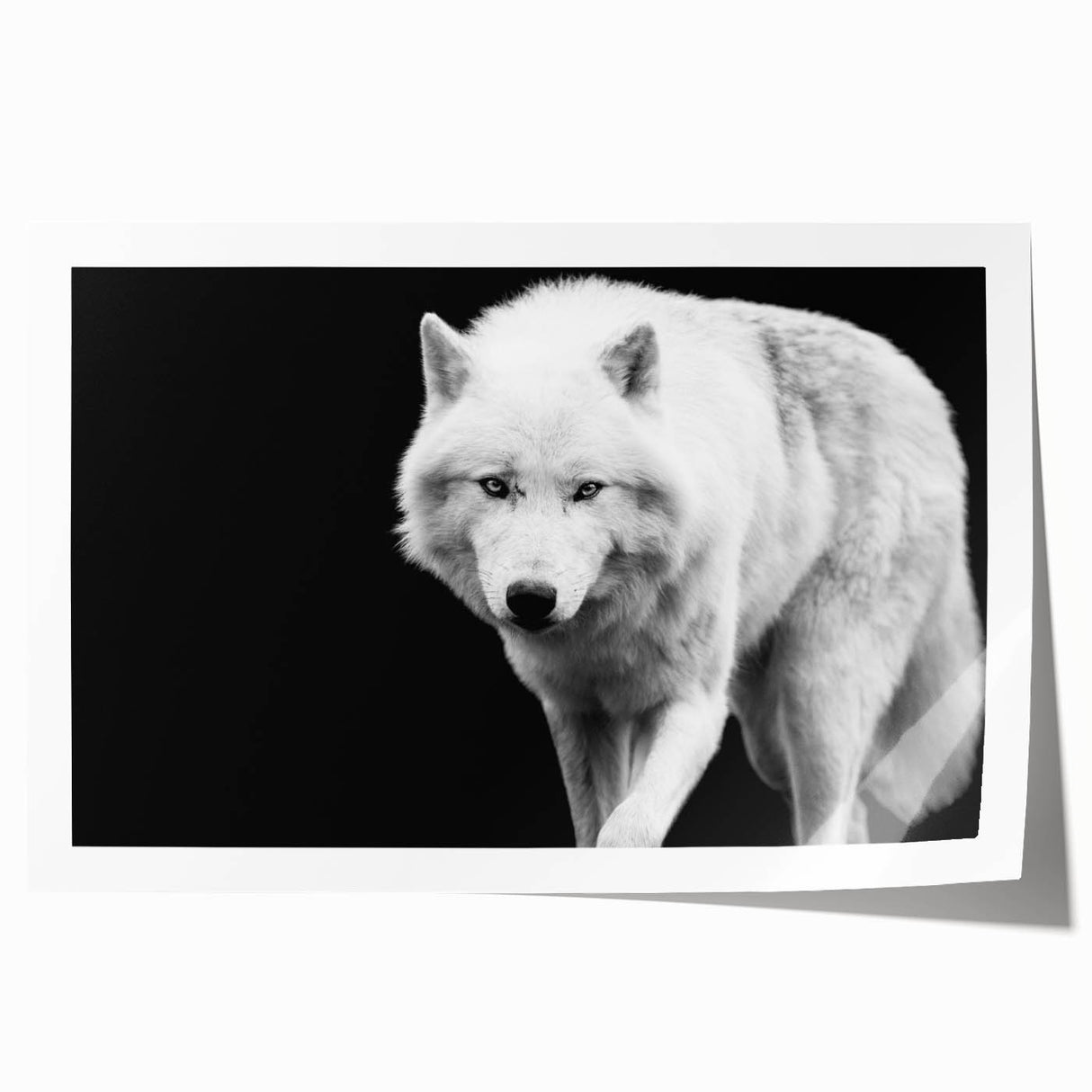 Wolf design wall art print showcasing a majestic wolf in a natural setting, featuring detailed textures and vibrant colors, ideal for wildlife enthusiasts.