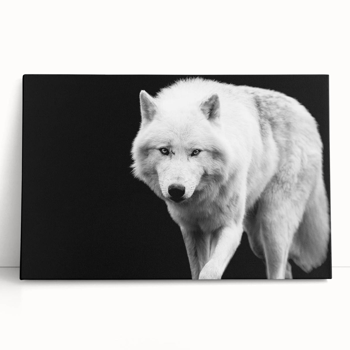 Stretched canvas wall art showcasing a striking wolf design in a natural setting, perfect for animal lovers and home decor enthusiasts. The artwork features rich colors and intricate details, making it a captivating focal point for any room.